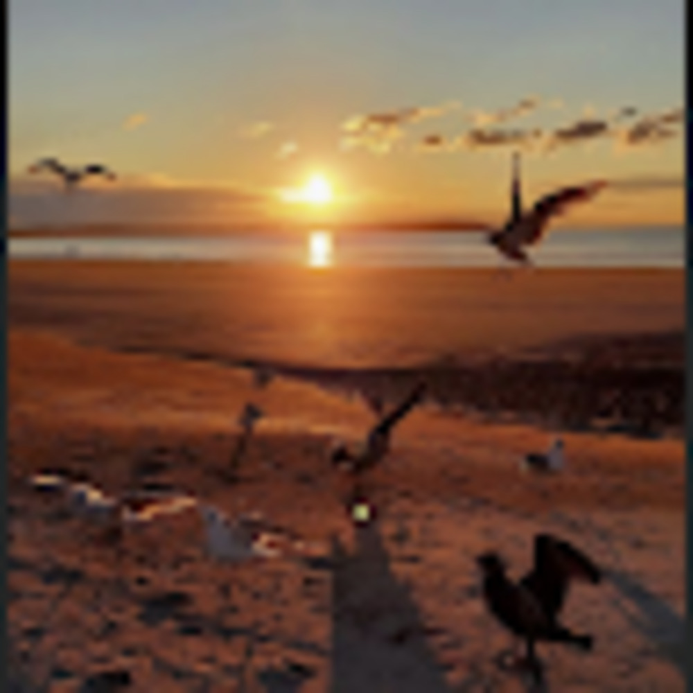 Meet your Posher, De